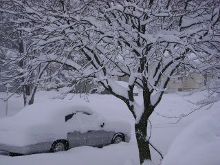 DSC00149.jpg