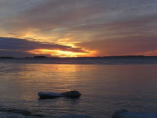 468123683_8dff724d8e.jpg