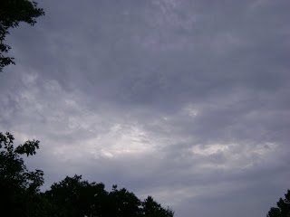 DSC02412.jpg