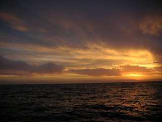 20990901_cdfb469026.jpg