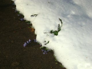 DSC03435.jpg