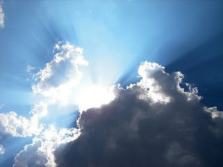 233192269_908927af29.jpg