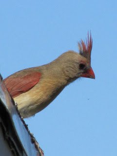 May2B20122B055.jpg
