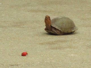 May2B20122B078.jpg