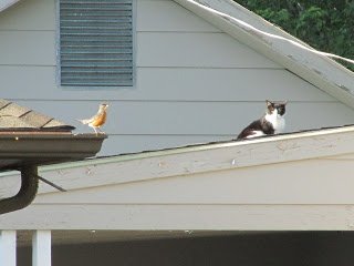 Spring2B20122B043.jpg