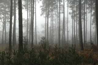 6829509_c4f062031b.jpg