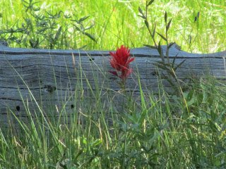 8-7-122B744.jpg