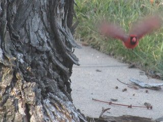 IMG_3600.jpg