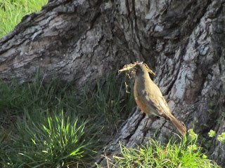 IMG_5164.jpg
