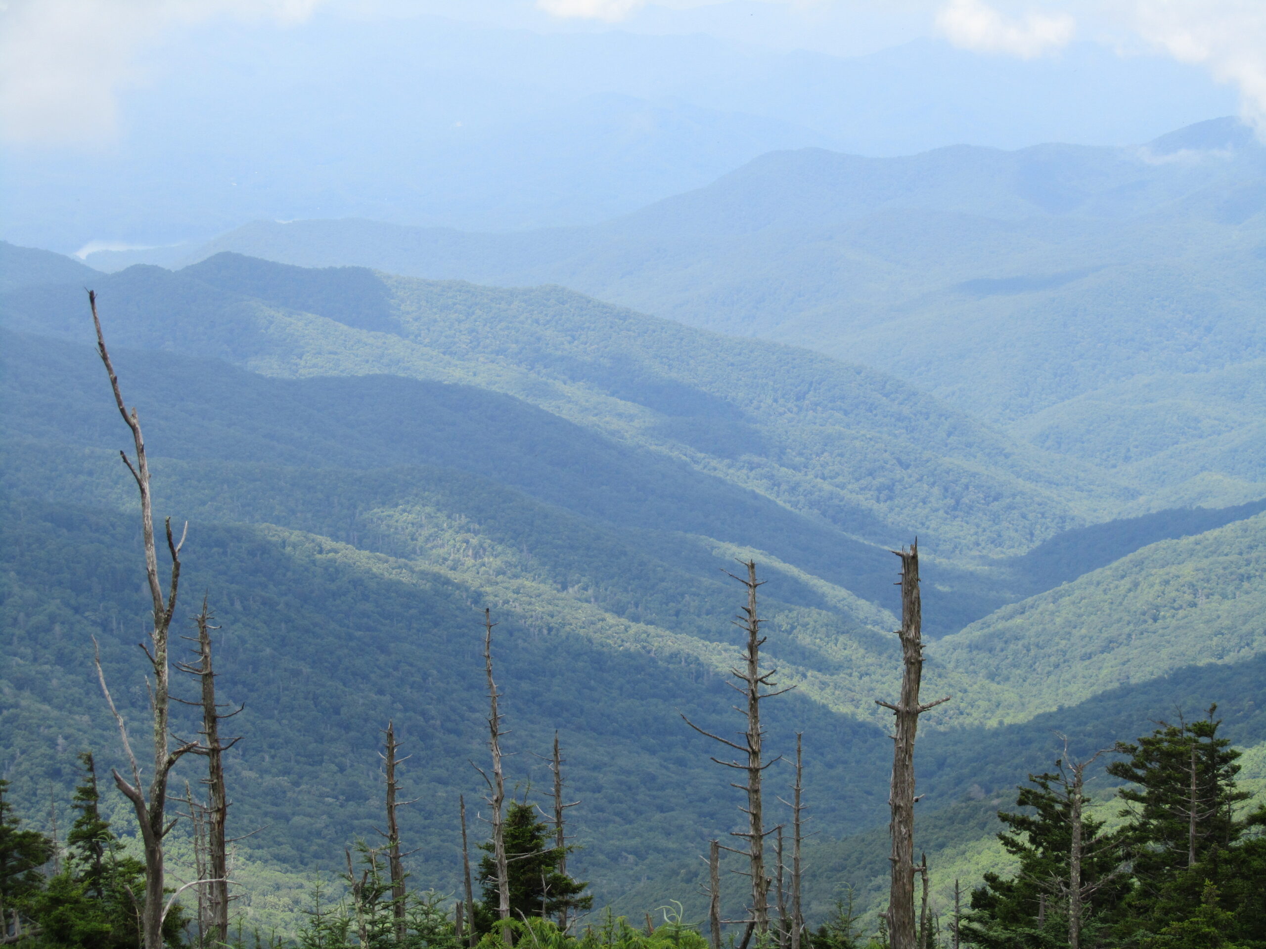 Summer Photo Fun: Tennessee Vacation Beauty