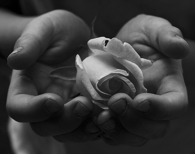 Midweek Morsel: Allowing Others to Bless Us