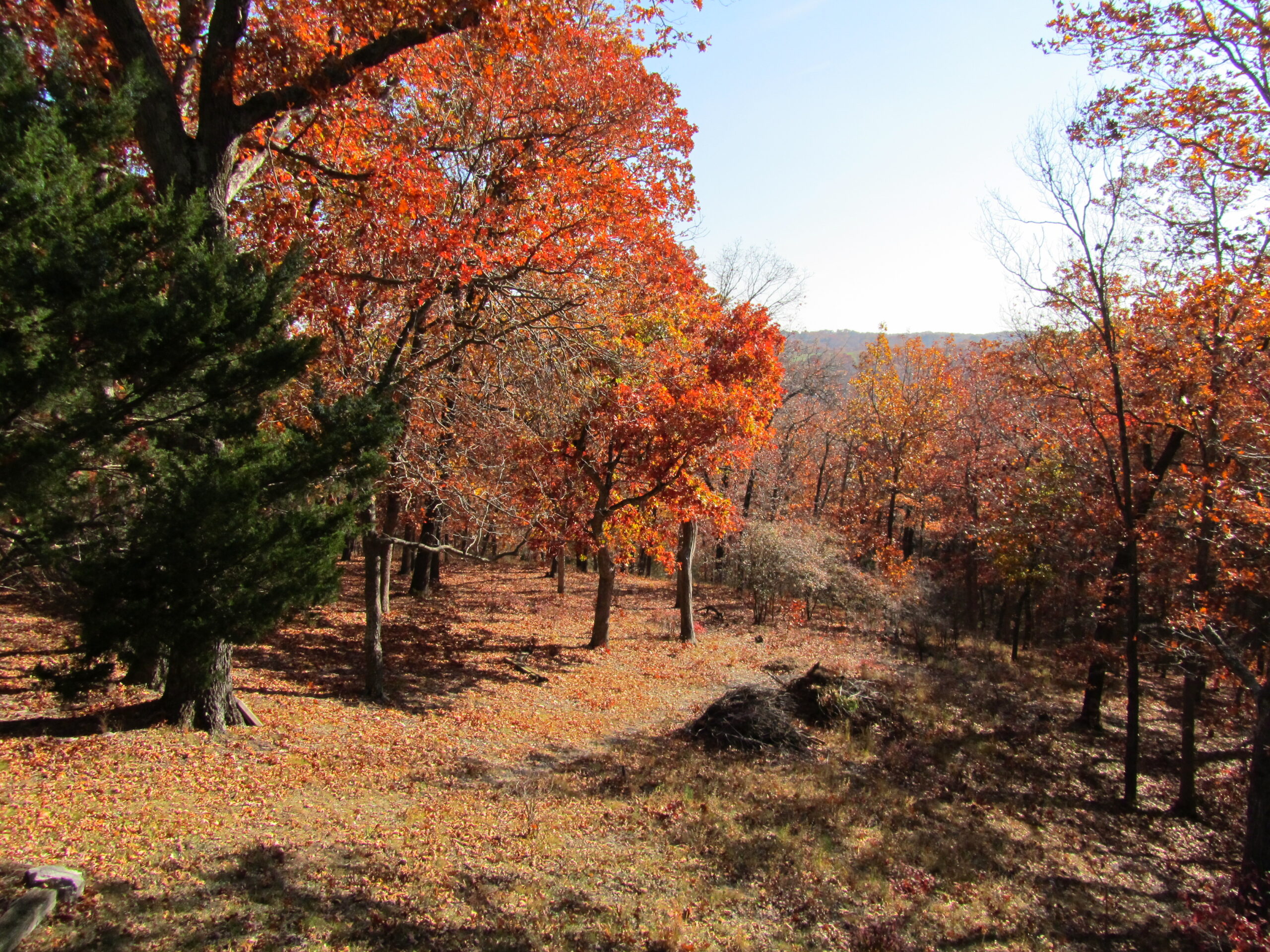 Midweek Morsel: An Autumn Prayer