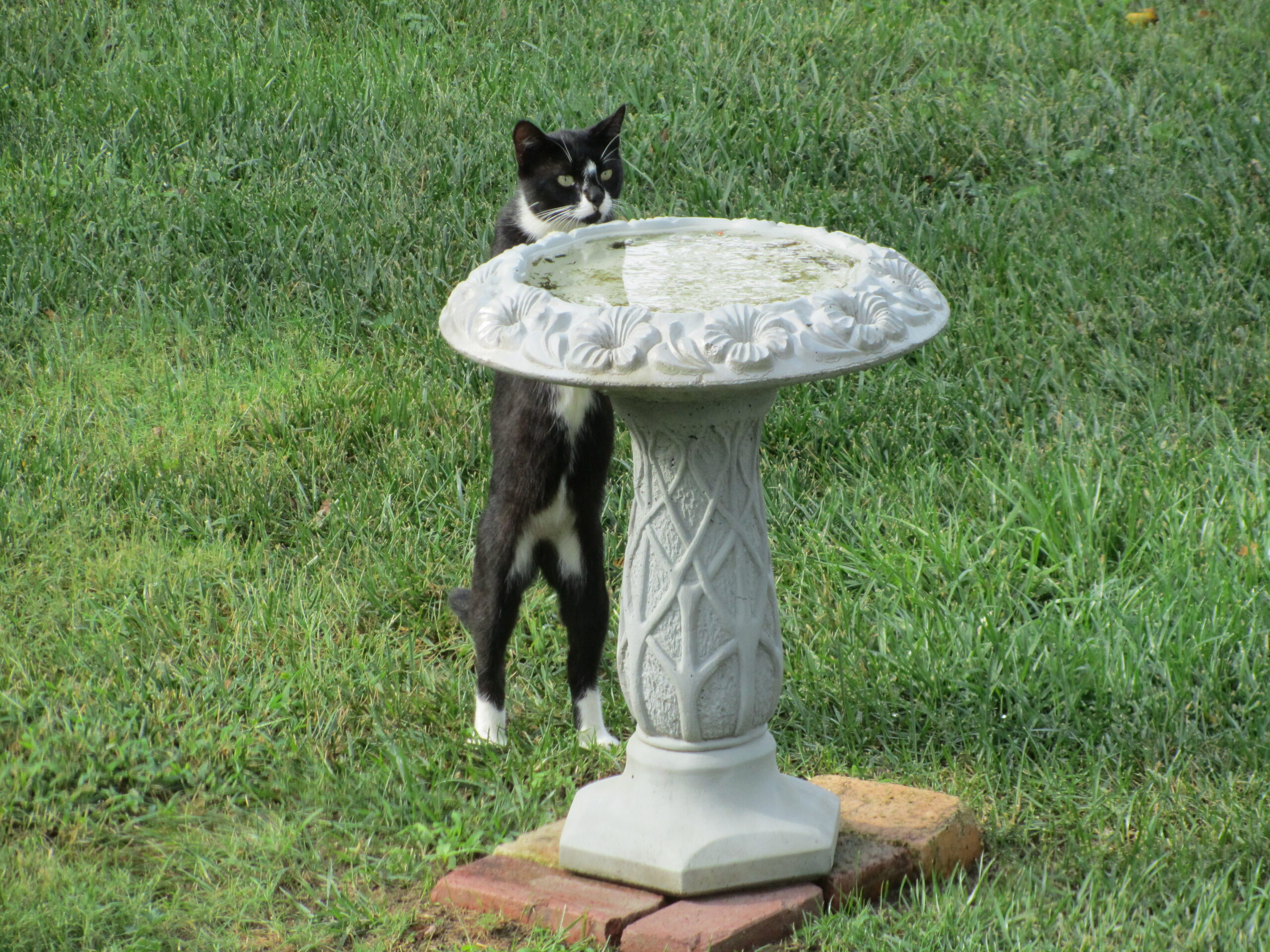 Summer Photo Fun 2014 Kick-Off: Caption This!