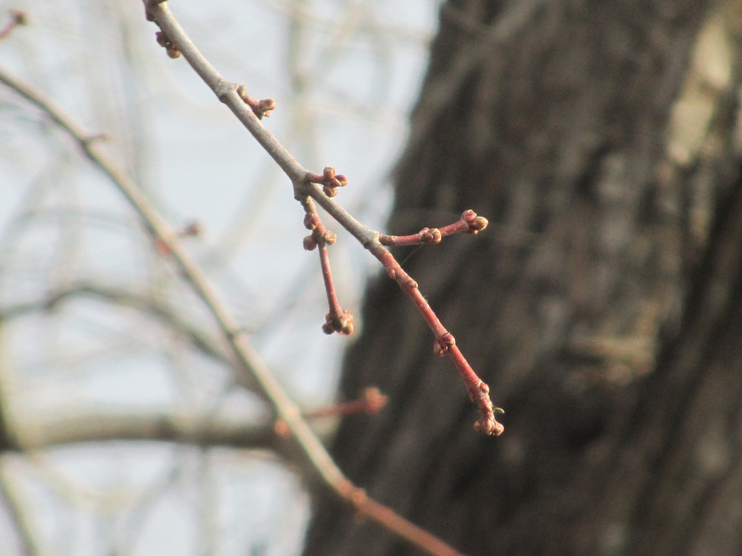 Midweek Morsel: Seasons Declare God’s Faithfulness