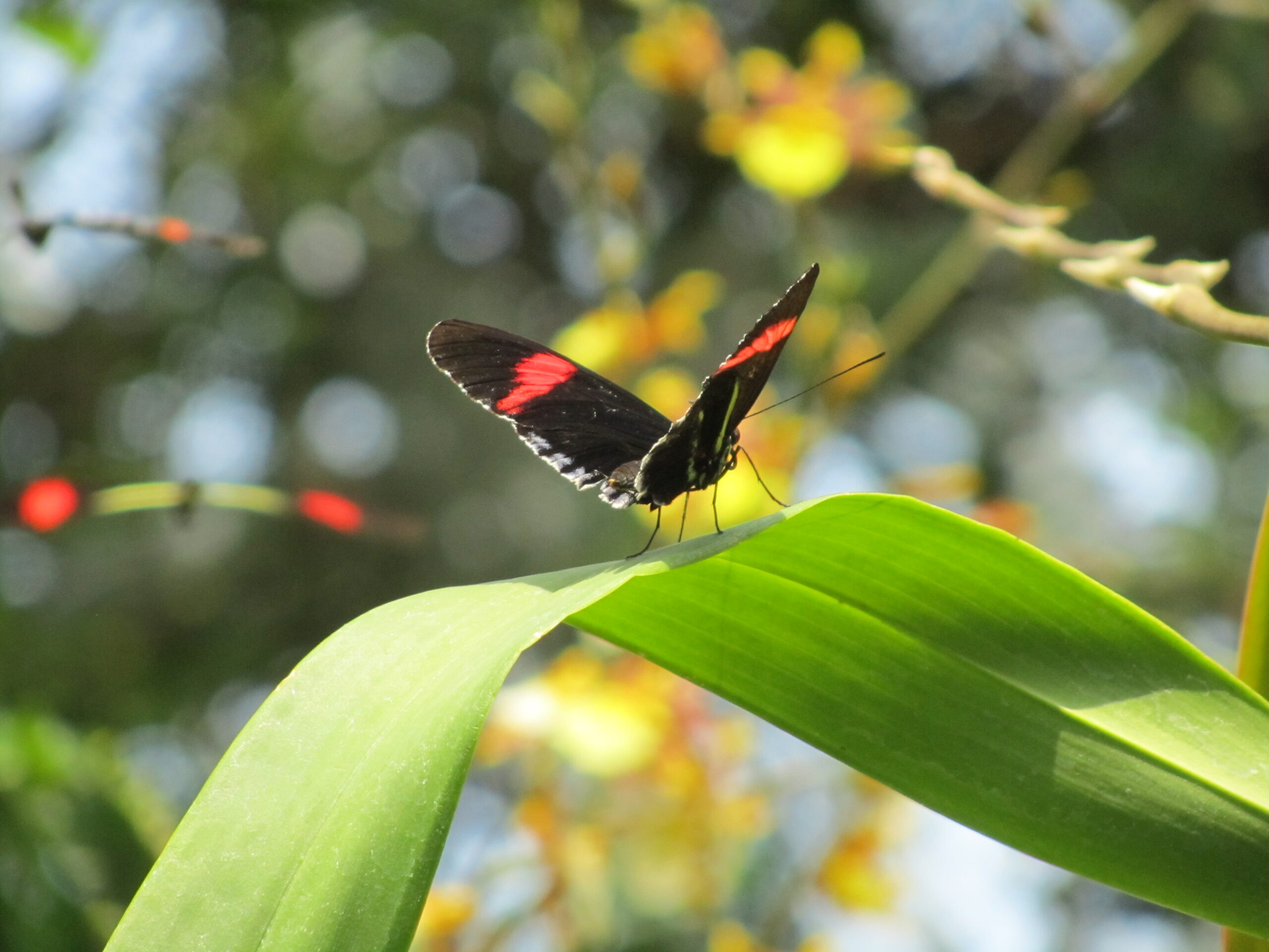 Summer Photo Fun: Be Refreshed!