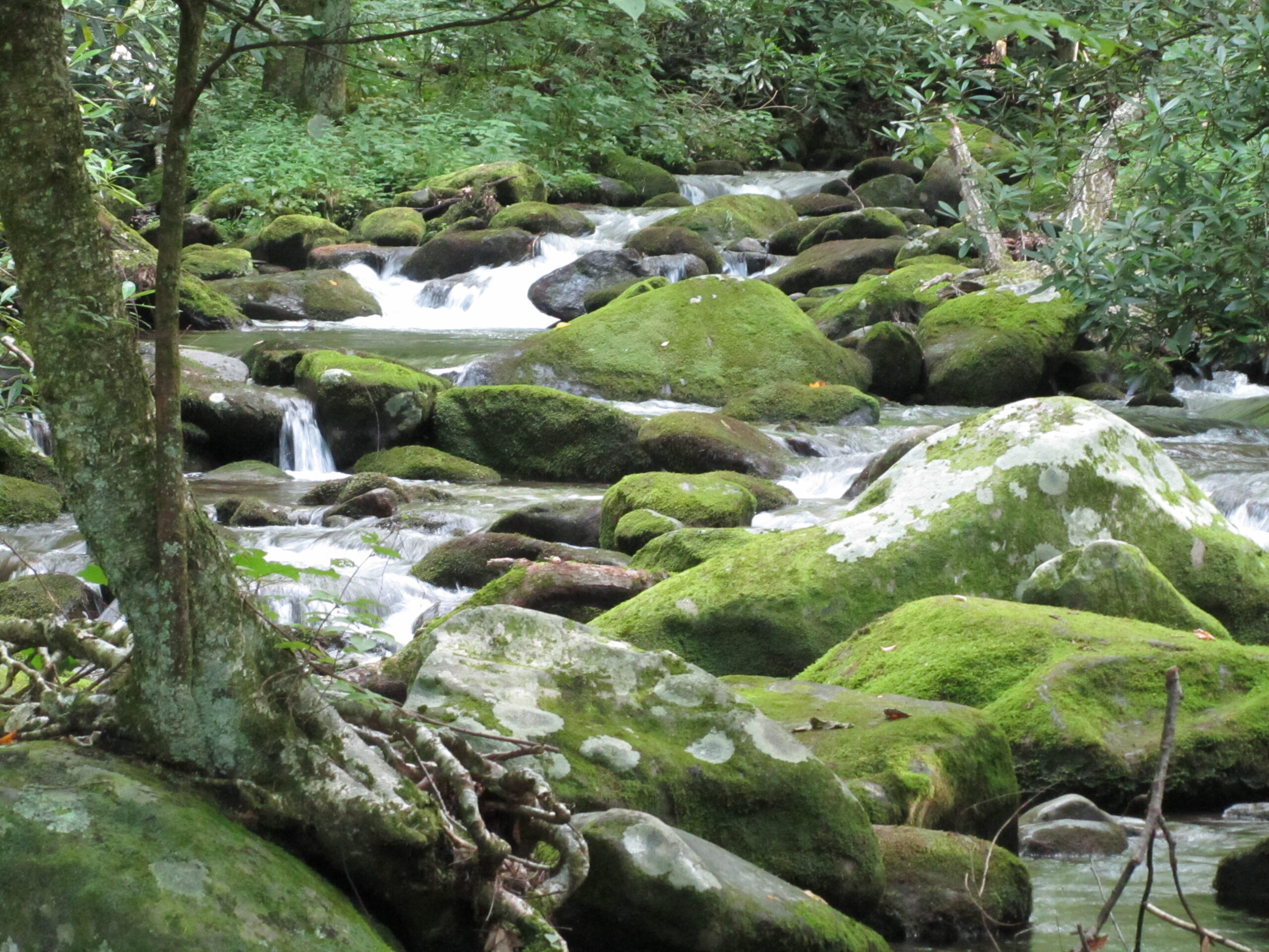 5 Ways to Make Valleys of Weeping into Places of Springs