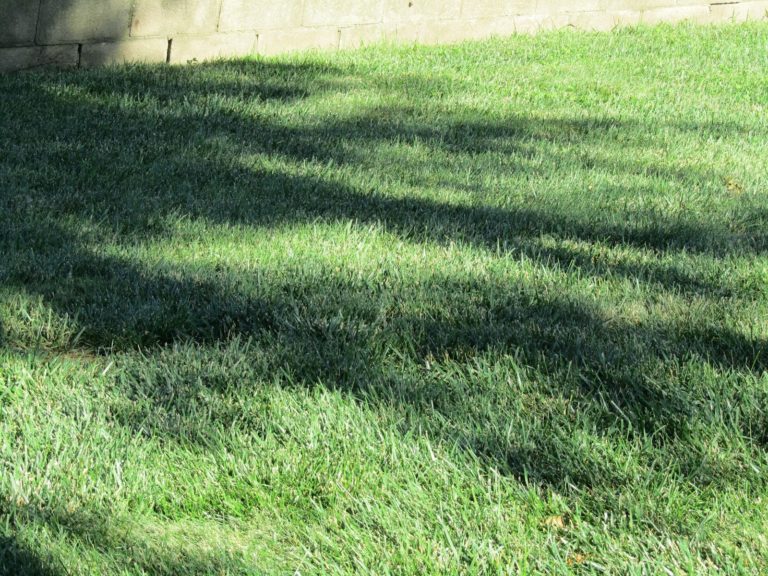 Casting a Shadow