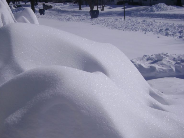 Winter and Life Extremes: A Time to Hunker Down