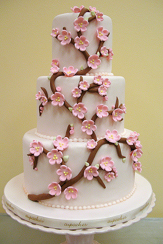 Spring Wedding Cake: Cherry Blossoms — Cheryl Barker