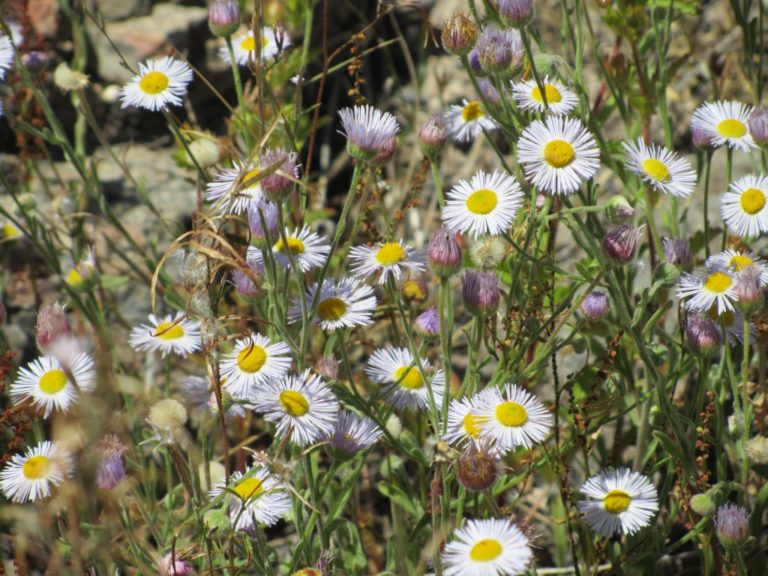 Blogging Break For Me, Blessings For You