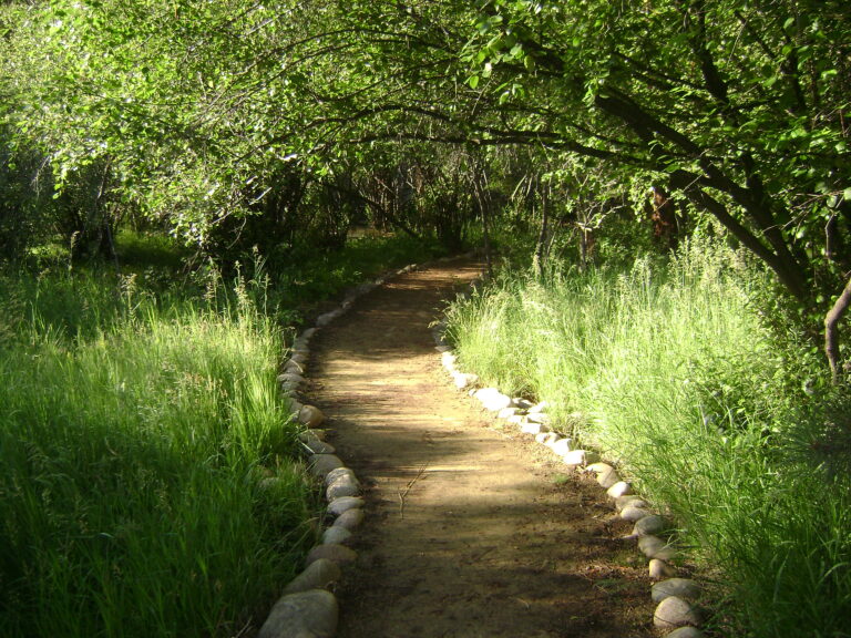 Let Your Life Provide a Well-Paved Path for Others