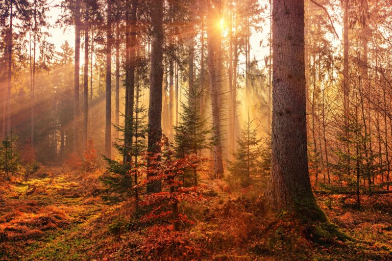 An Autumn Prayer