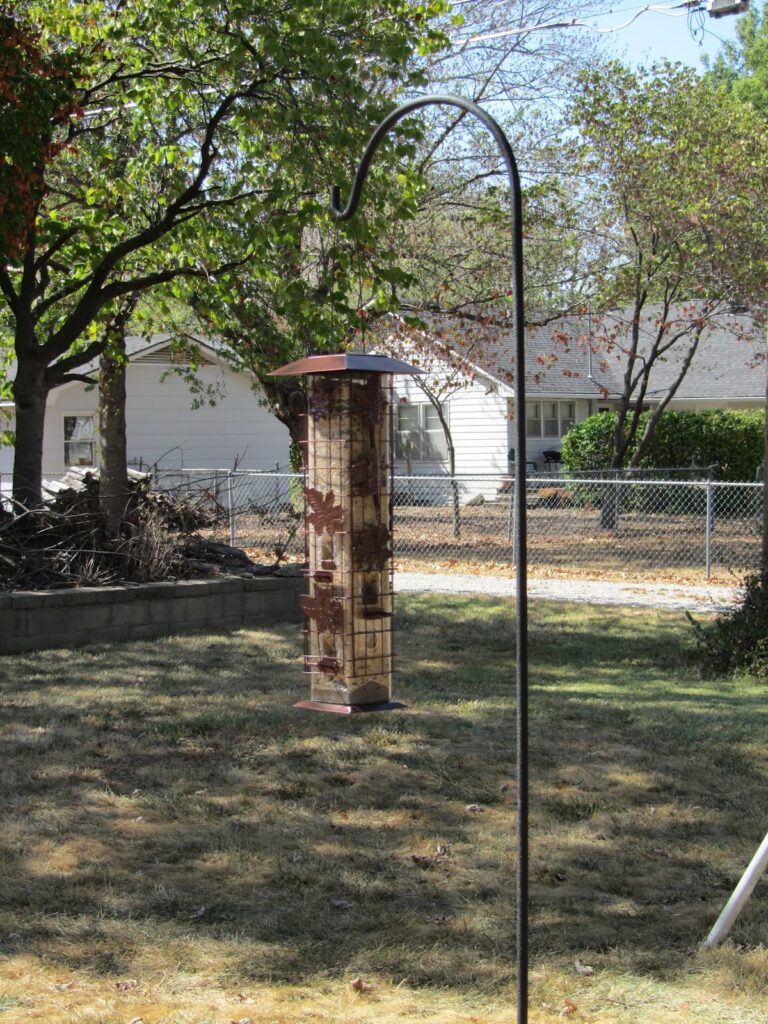 Bird Feeder and God’s Word: Discovering the Treasure