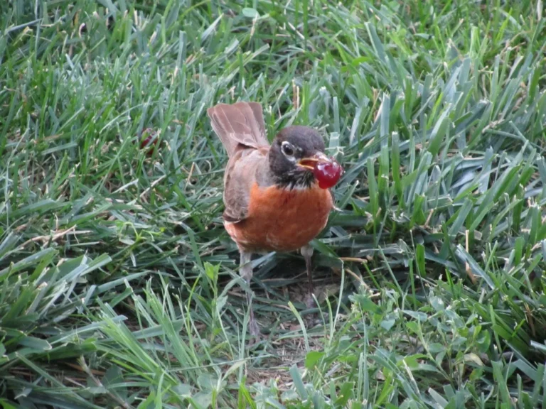 Approaching God Boldly