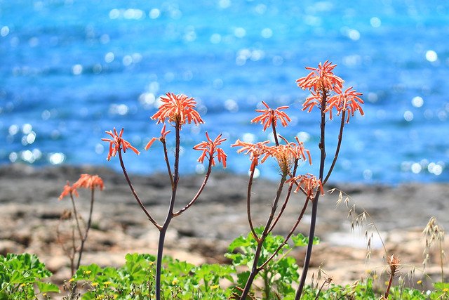 Breathe Acrostic: 2026 Theme Word Refresher